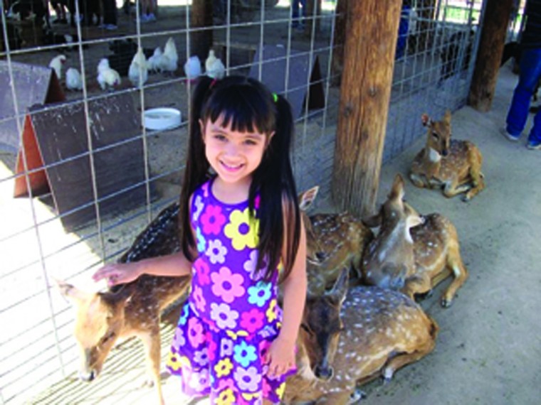 afn.061810.NEIGH.serenitychavez.jpg
